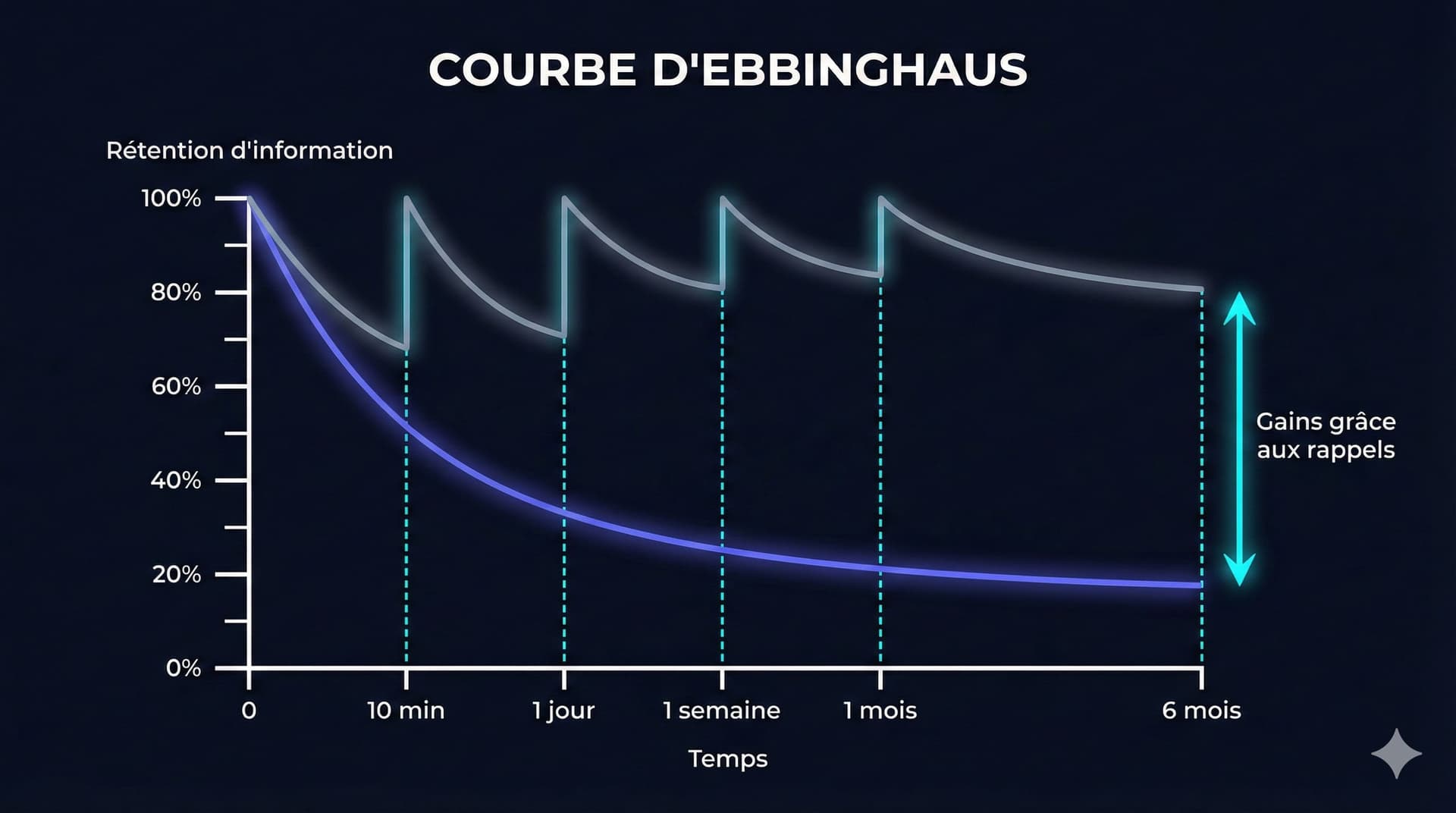 Graphique de la courbe de l'oubli d'Ebbinghaus expliquant la répétition espacée pour les études de médecine.